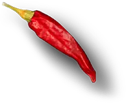 Hasta La Muerte Tacos